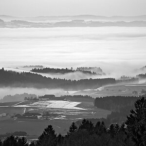 2121225 7409 sw Eidenberg Alm Nebel