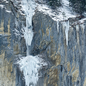 UDH2869