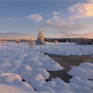 Wintertraum