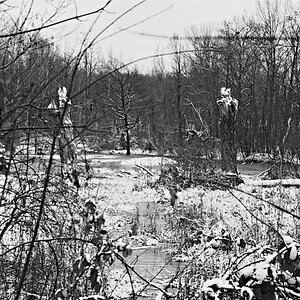 Winter Bln Lübars 0039 130113 SW 1024
