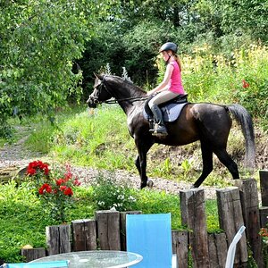 BS Taladina 2012 a.jpgaa