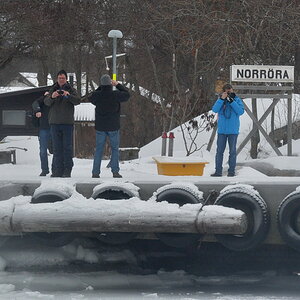 Fotograferna på Norröra DSC 7943