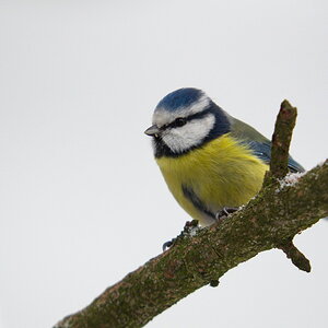 DSC3332 sRGB NF