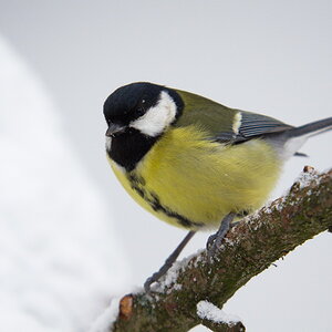 DSC3431 sRGB NF