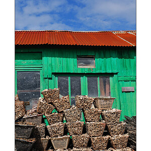 huitres & moules X