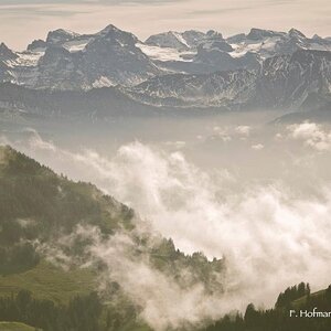 F. Hofmann Photography