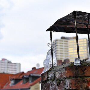 DSC0908a