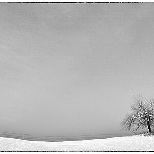 EisDSC 0608
