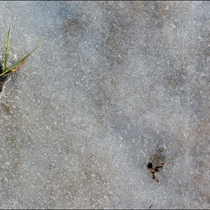 EisDSC 0531