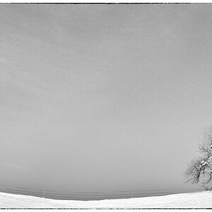 EisDSC 0607