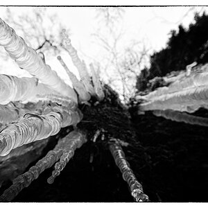 EisDSC 0603