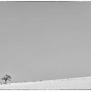 EisDSC 8269