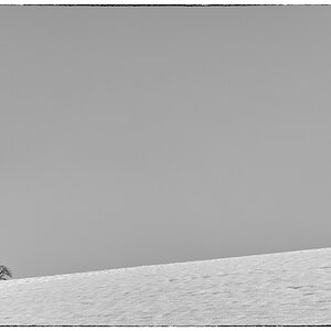 EisDSC 8268