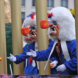 DSC 7538