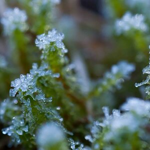 Tamron AF 90mm 2,8 Di Macro 1:1 SP