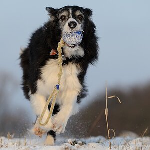 DSC 1679a