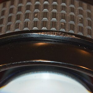 DSC10173