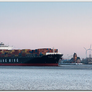 YANG MING Mobility (IMO 9455870) vor der Lotsenstation Bubendey-Ufer (Elbe/Hamburg)