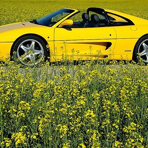 355