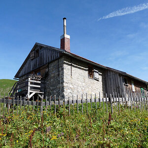 DSC 0985 (1 von 1)