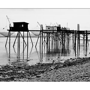 huitres & moules XIII