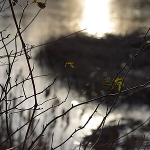 686gegenlicht