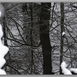 Winter2