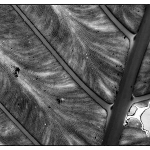 ZooDSC 0196