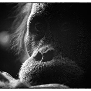 ZooDSC 0214