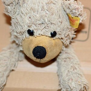 teddy