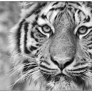 ZooDSC 0225