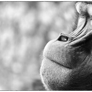 ZooDSC 0227