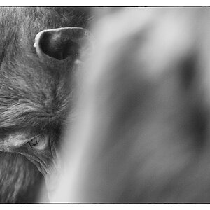 ZooDSC 0229