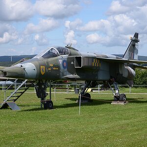 Hermeskeil Jaguar