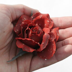Reed Rose