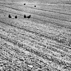 2013 02 03T15 05 12 0 sm