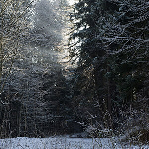 20130113 0004 Stille