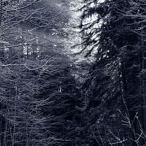 20130113 0004 Stille HF
