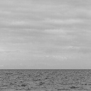DSC 7587 BW