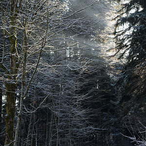 20130113 0004 Stille Bearbeitet