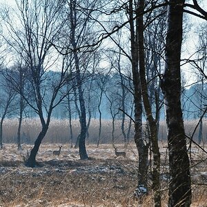 cd Brook 2013.2 3neu