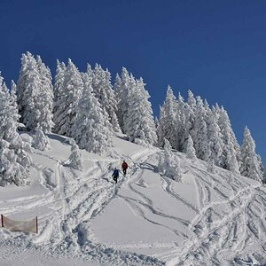 Spuren im Schnee