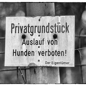 Schild