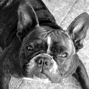 Der Kleine hat da was auf der Nase ;)