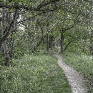 Naturweg am Erfurter Nordstrand. Ein spezielles Format von Luminanz HDR.