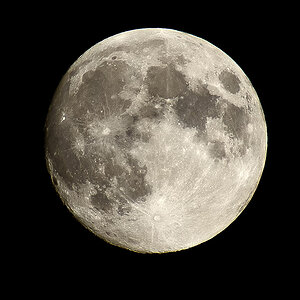 mond 3547