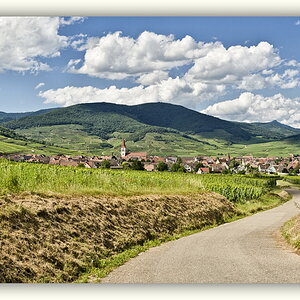 Blick Vogesen