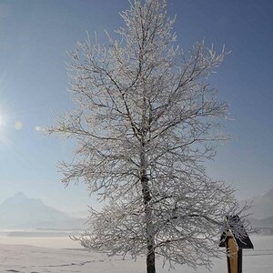 -14 Grad und die strahlende Sonne - da muss man fotografieren