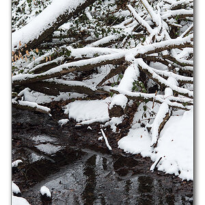 schneeform1