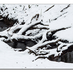 schneeform2